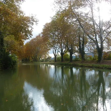 Maison Jardin Plaisir De L'accueil Carcassonne
